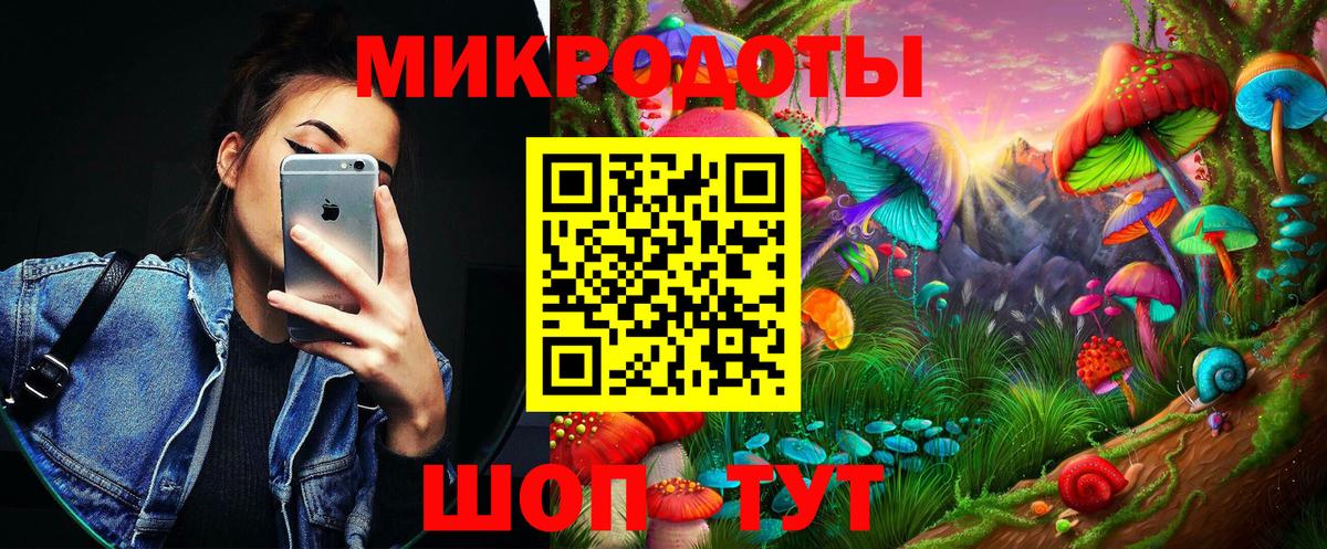 Псилоцибиновые грибы Psilocybe Северск